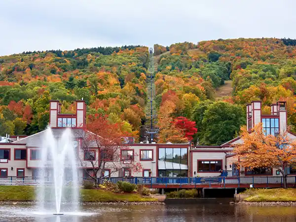 Maple Ridge park and lake surrounded by autumn trees